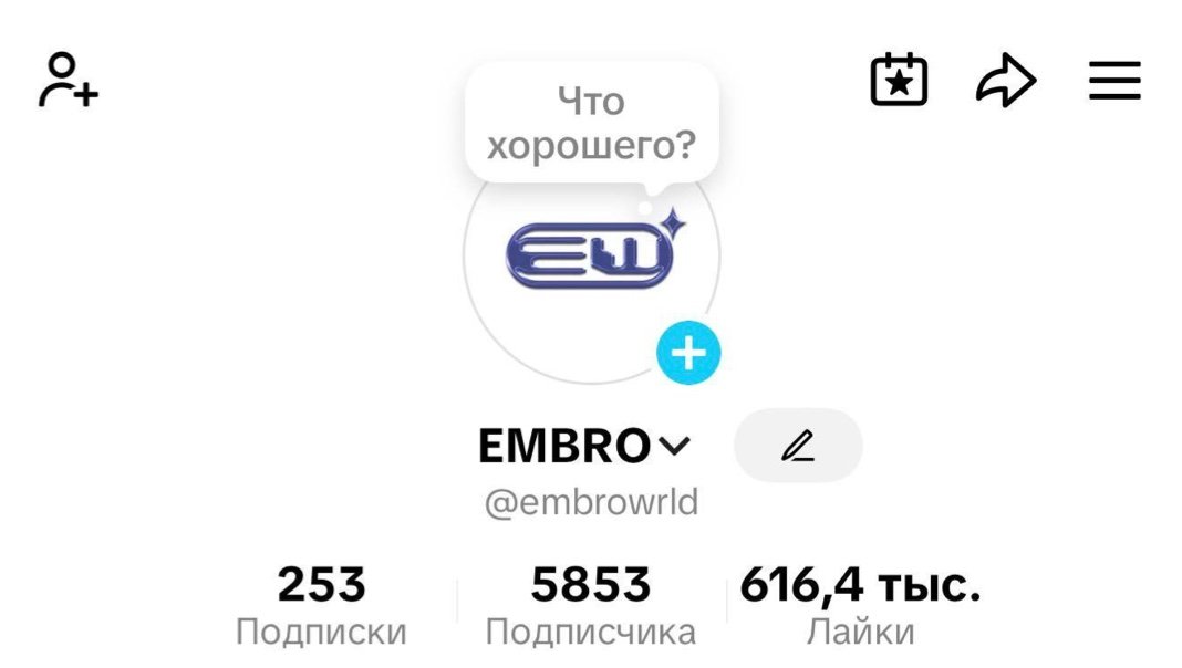 Профиль TikTok